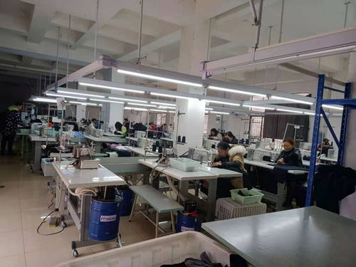 普定县鸡场坡镇那贝安置点 发展劳动密集型产业,解决特殊群众就业难问题
